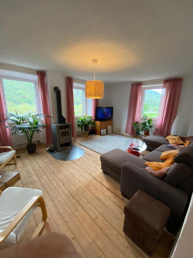Helles, Gemuetliches Haus Mit Moselblick Villa Müden Екстериор снимка